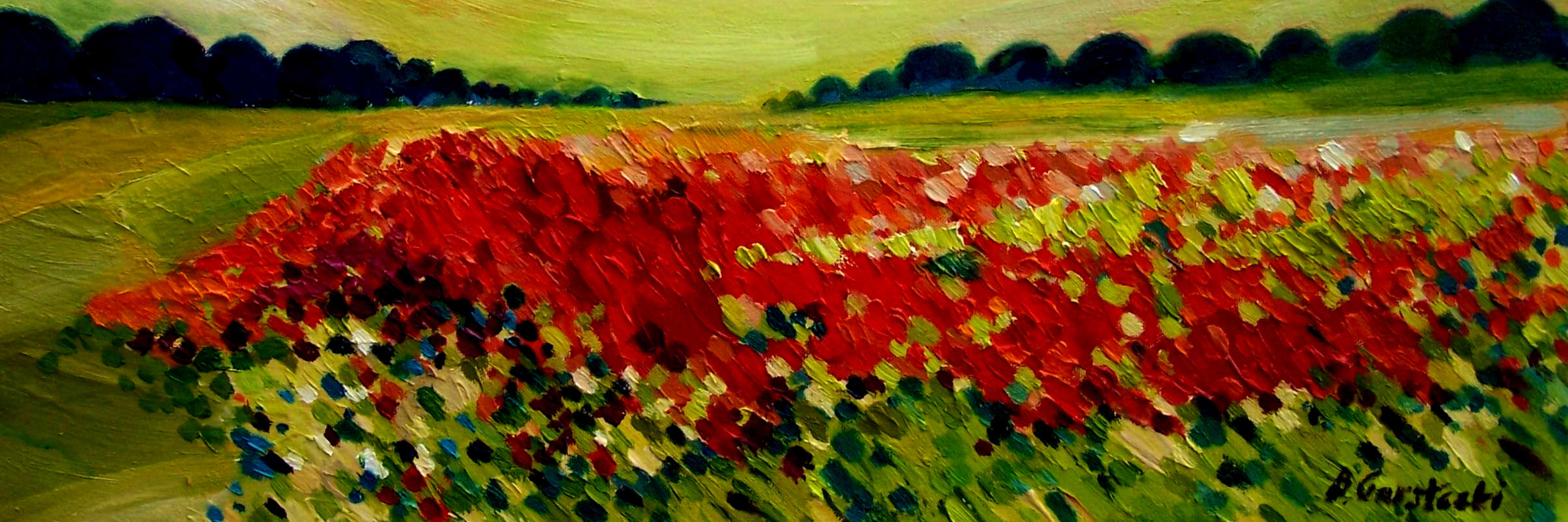 A Painting of Poppies